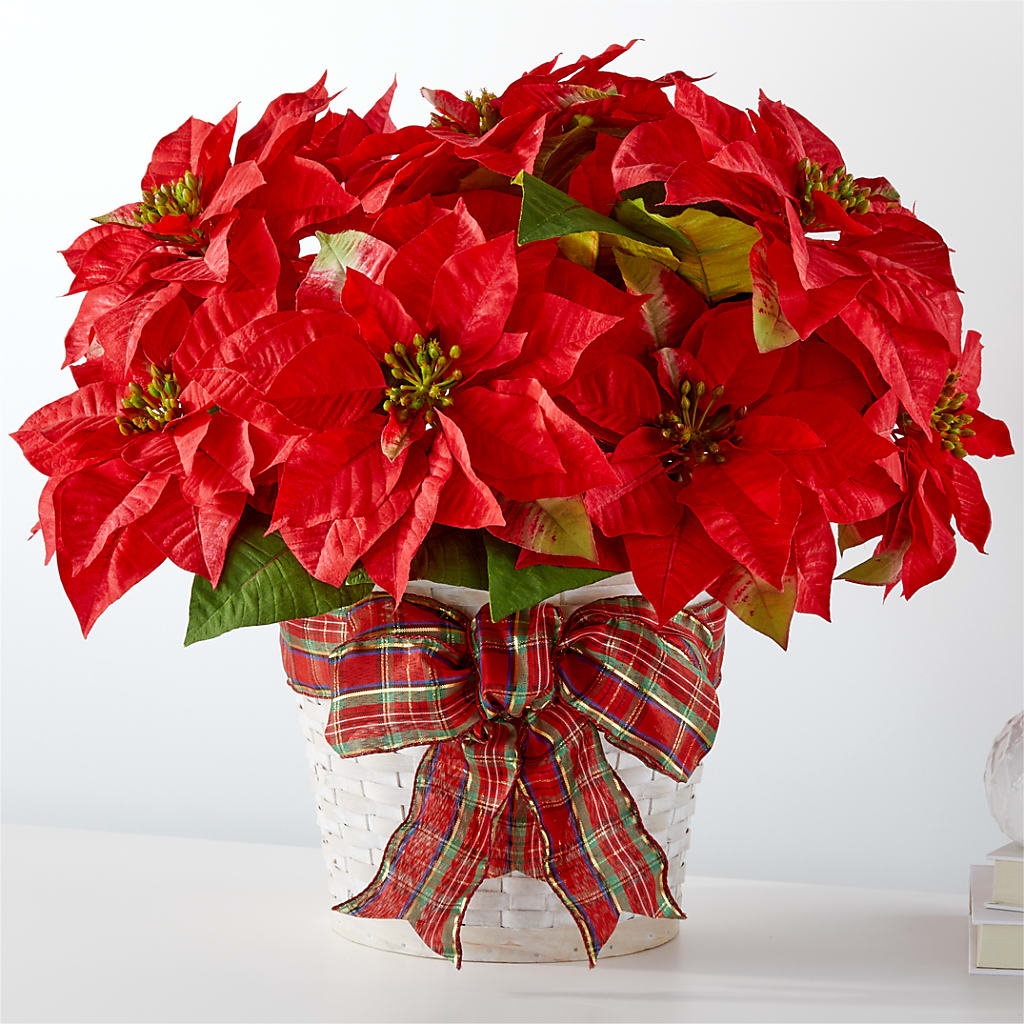 Happiest Holidays Poinsettia – Rose Girls, Whittier CA