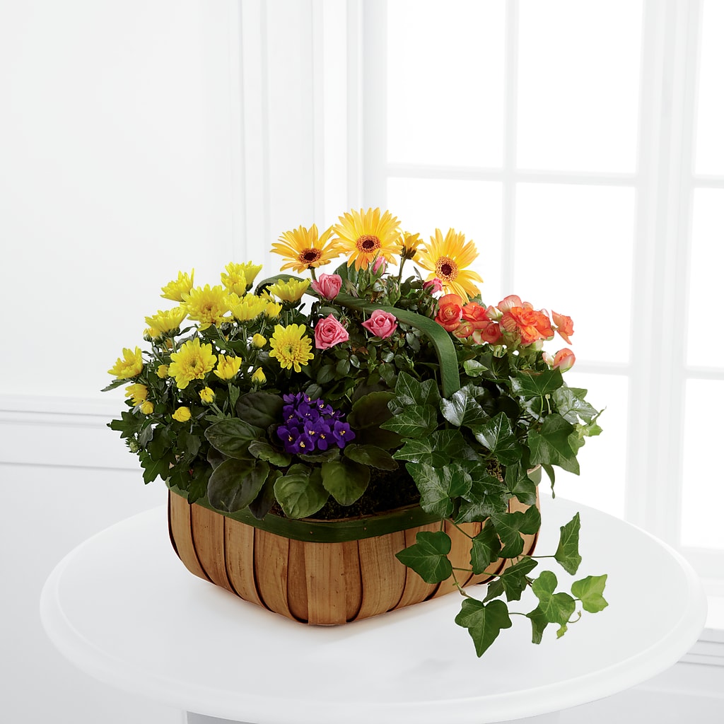 Gentle Blossoms Basket – Rose Girls, Whittier CA