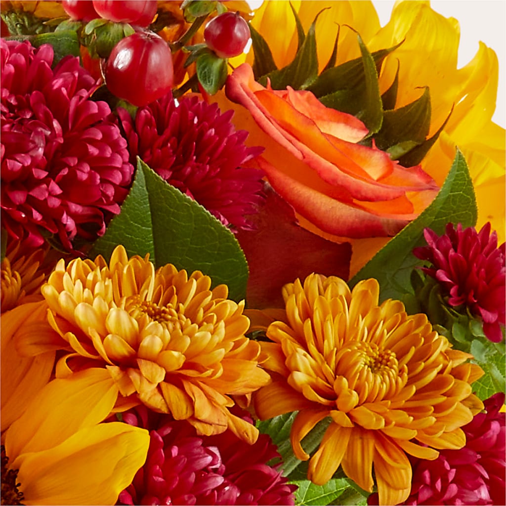 Sweater Season - A Florist Original – Rose Girls, Whittier CA