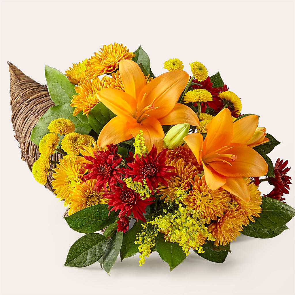 Feast of Color Cornucopia – Rose Girls, Whittier CA