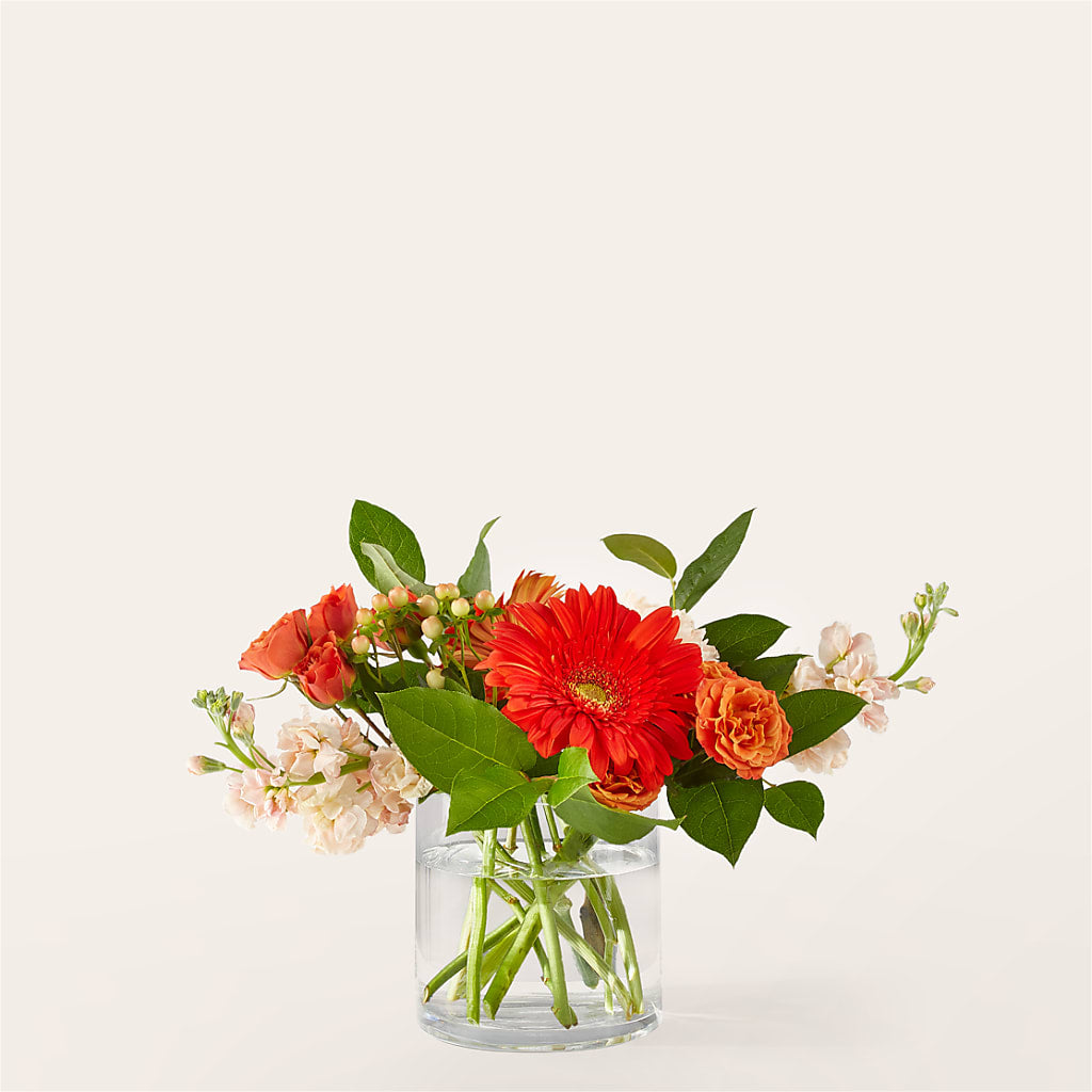 Paloma Please Bouquet – Rose Girls, Whittier CA