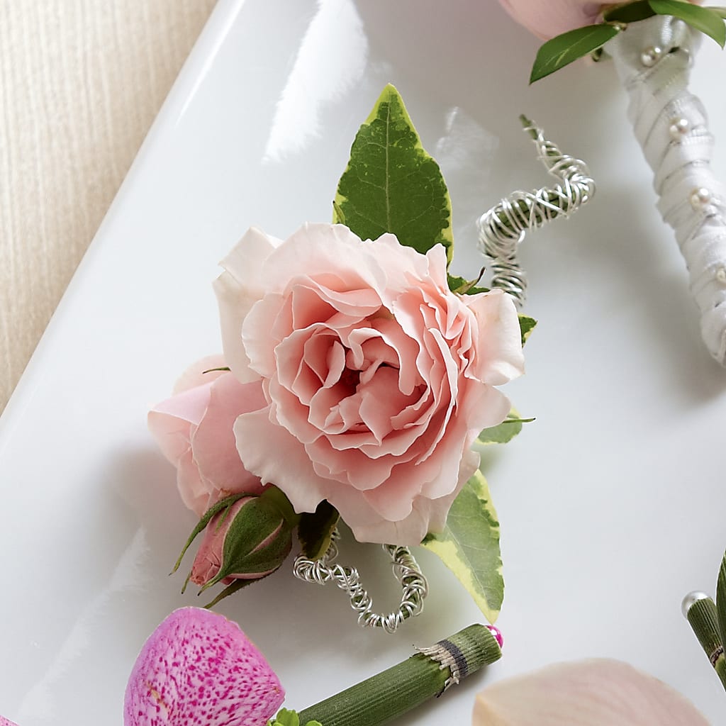 Pink Spray Rose Boutonniere – Rose Girls, Whittier CA