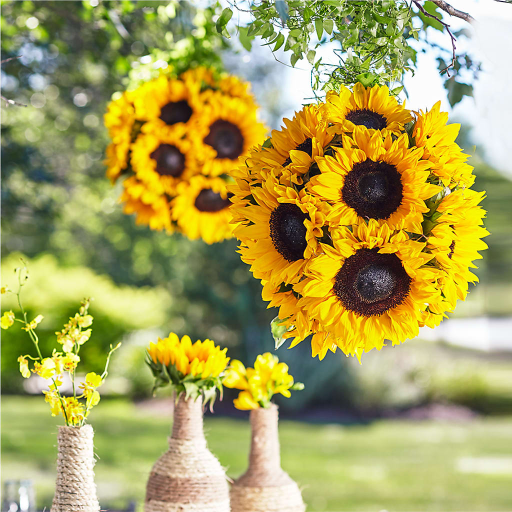 Sublime Garden Hanging Arrangement – Rose Girls, Whittier CA