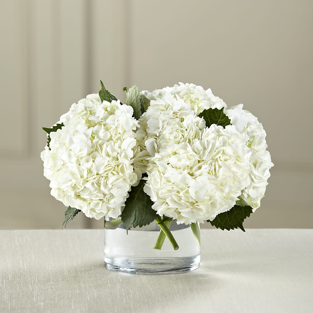White Hydrangea Bouquet – Rose Girls, Whittier CA