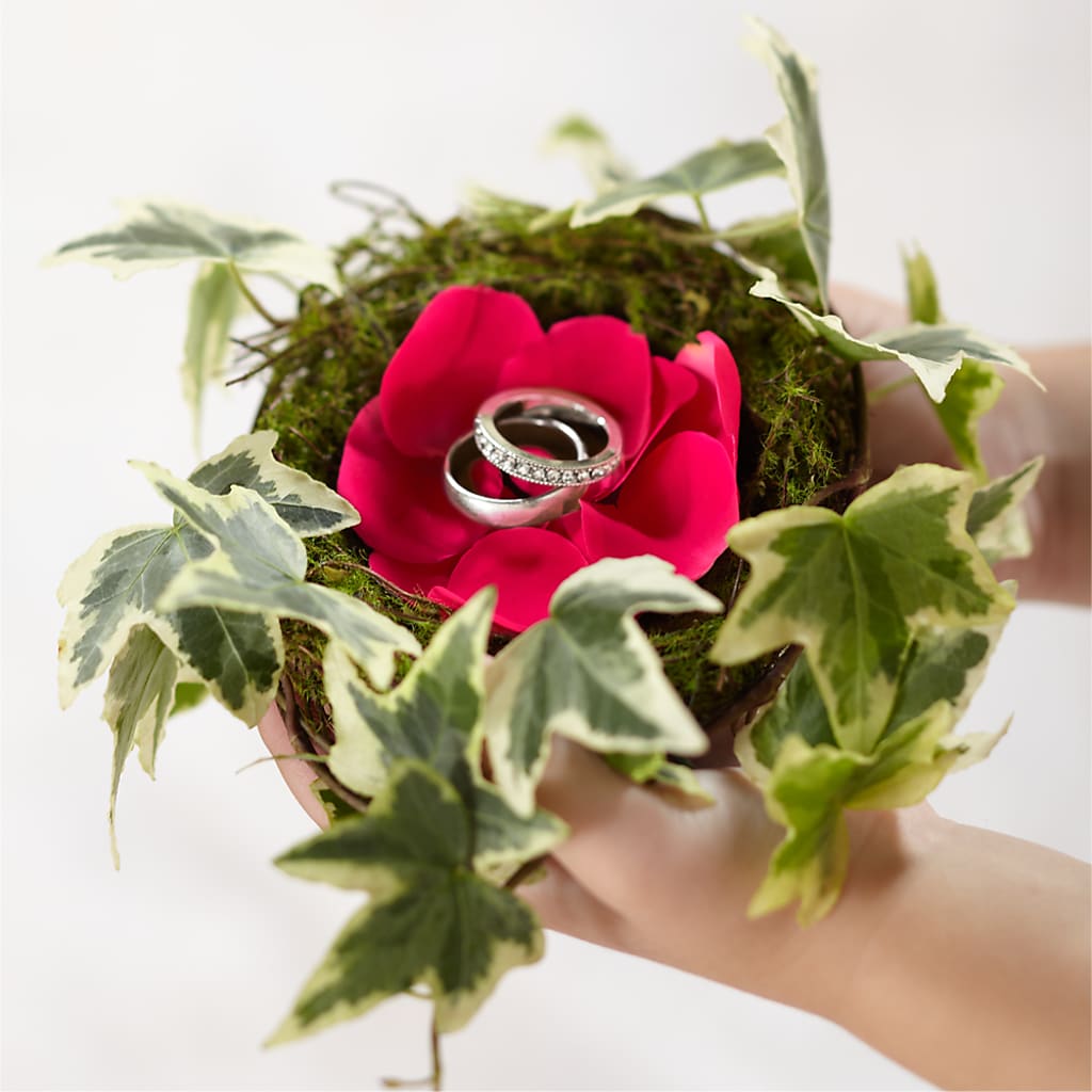 Lila Rose Ring Nest – Rose Girls, Whittier CA