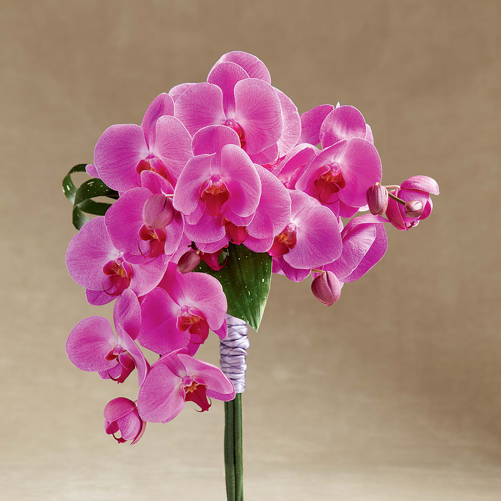 Glorious Bouquet – Rose Girls, Whittier CA