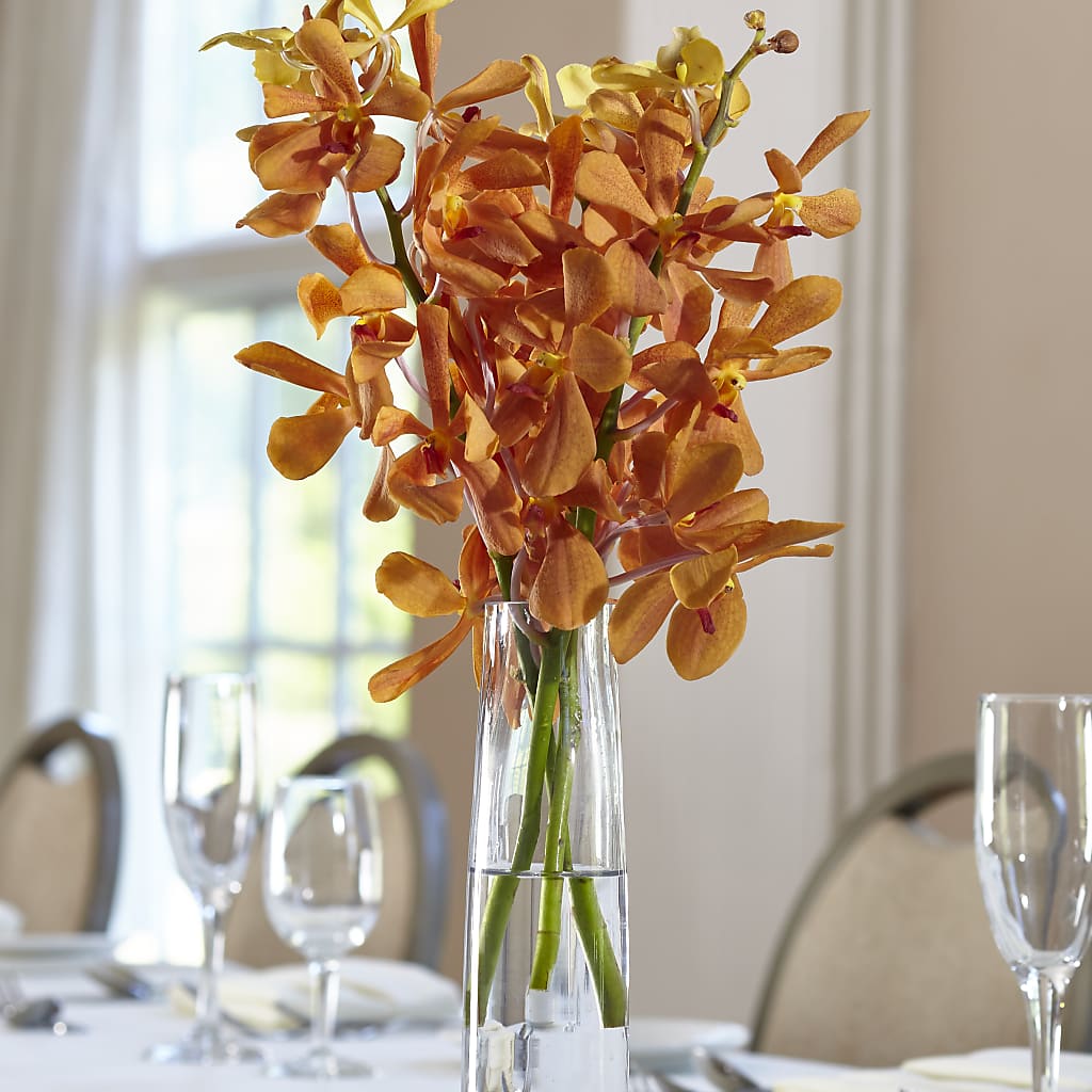 Orange Mokara Bud Vase – Rose Girls, Whittier CA