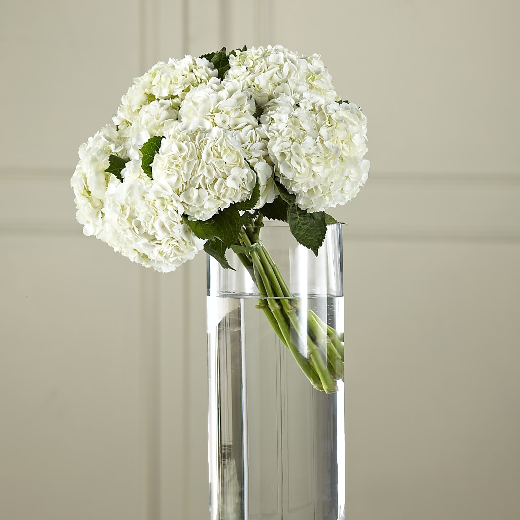 White Hydrangea Hand-Tied Bouquet – Rose Girls, Whittier CA