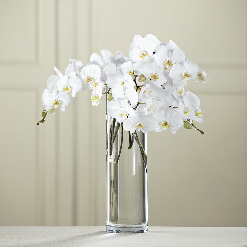 White Phalaenopsis Bouquet – Rose Girls, Whittier CA