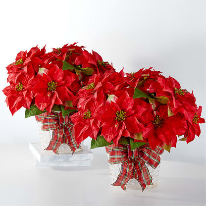 Happiest Holidays Poinsettia Bundle –  Rose Girls, Whittier CA