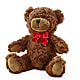 Adorable Plush Bear –  Rose Girls, Whittier CA