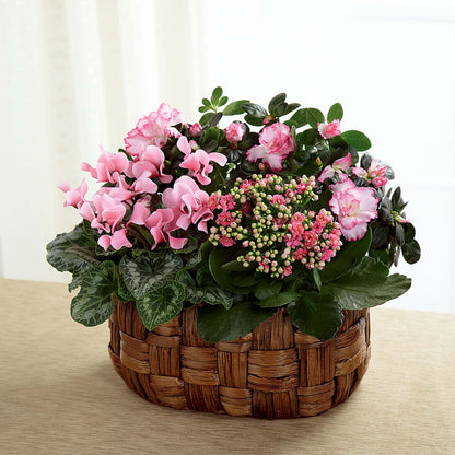 Pink Assortment –  Rose Girls, Whittier CA