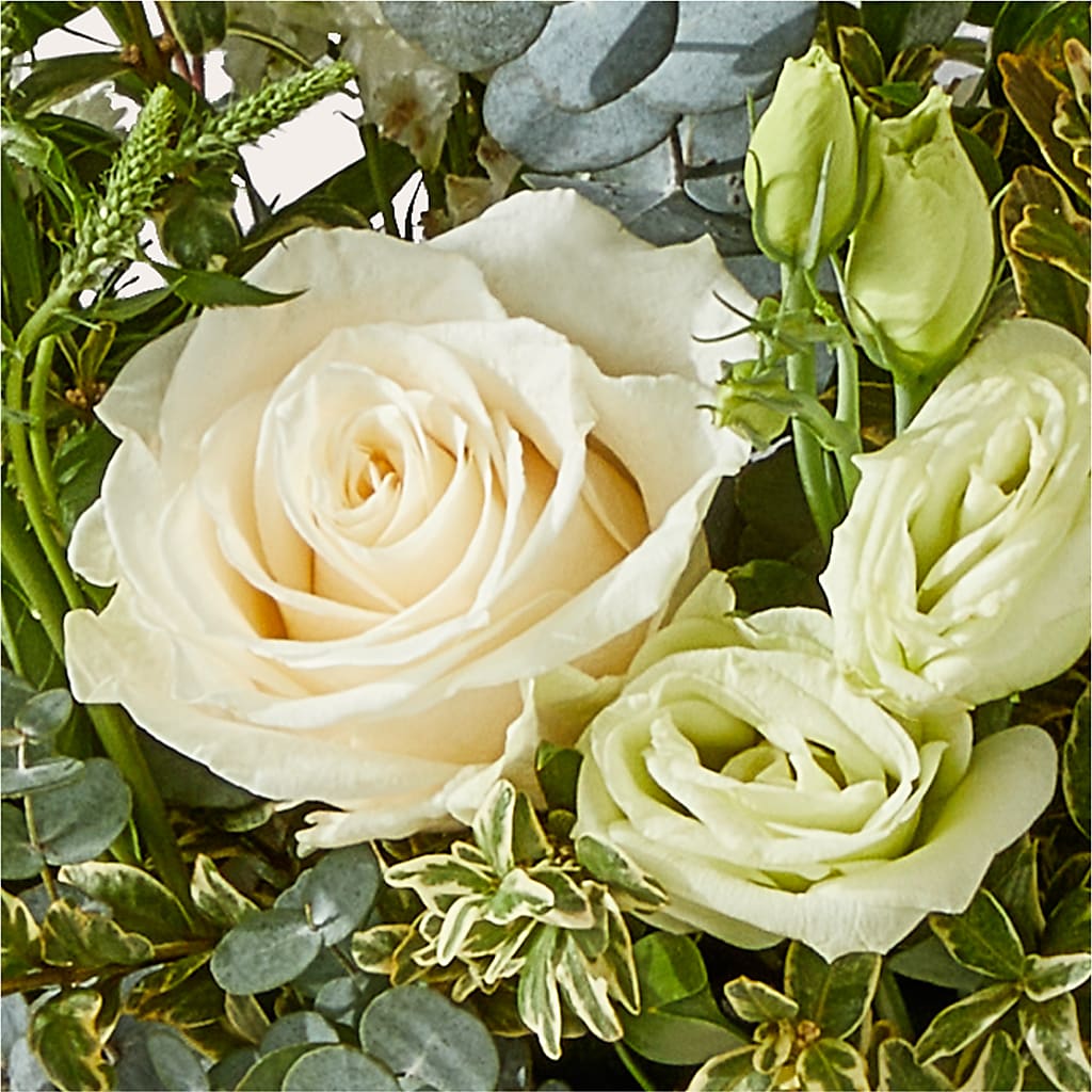 Cashmere Bouquet –  Rose Girls, Whittier CA