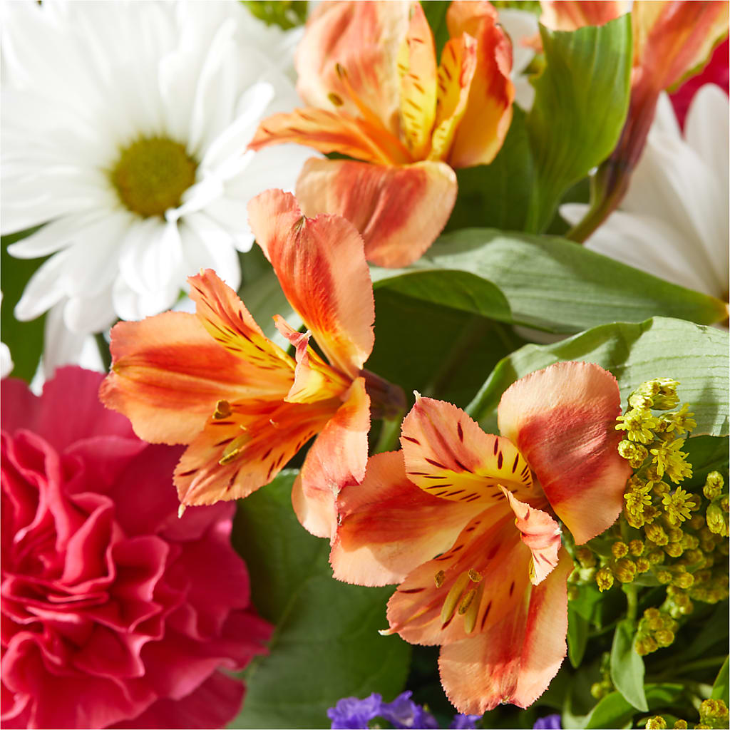 Oopsie Daisy Box Bouquet –  Rose Girls, Whittier CA