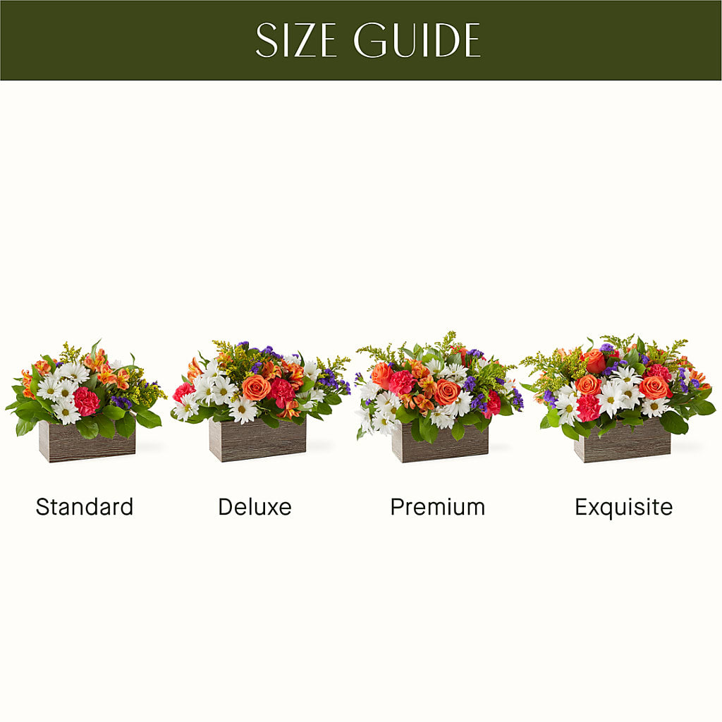 Oopsie Daisy Box Bouquet –  Rose Girls, Whittier CA