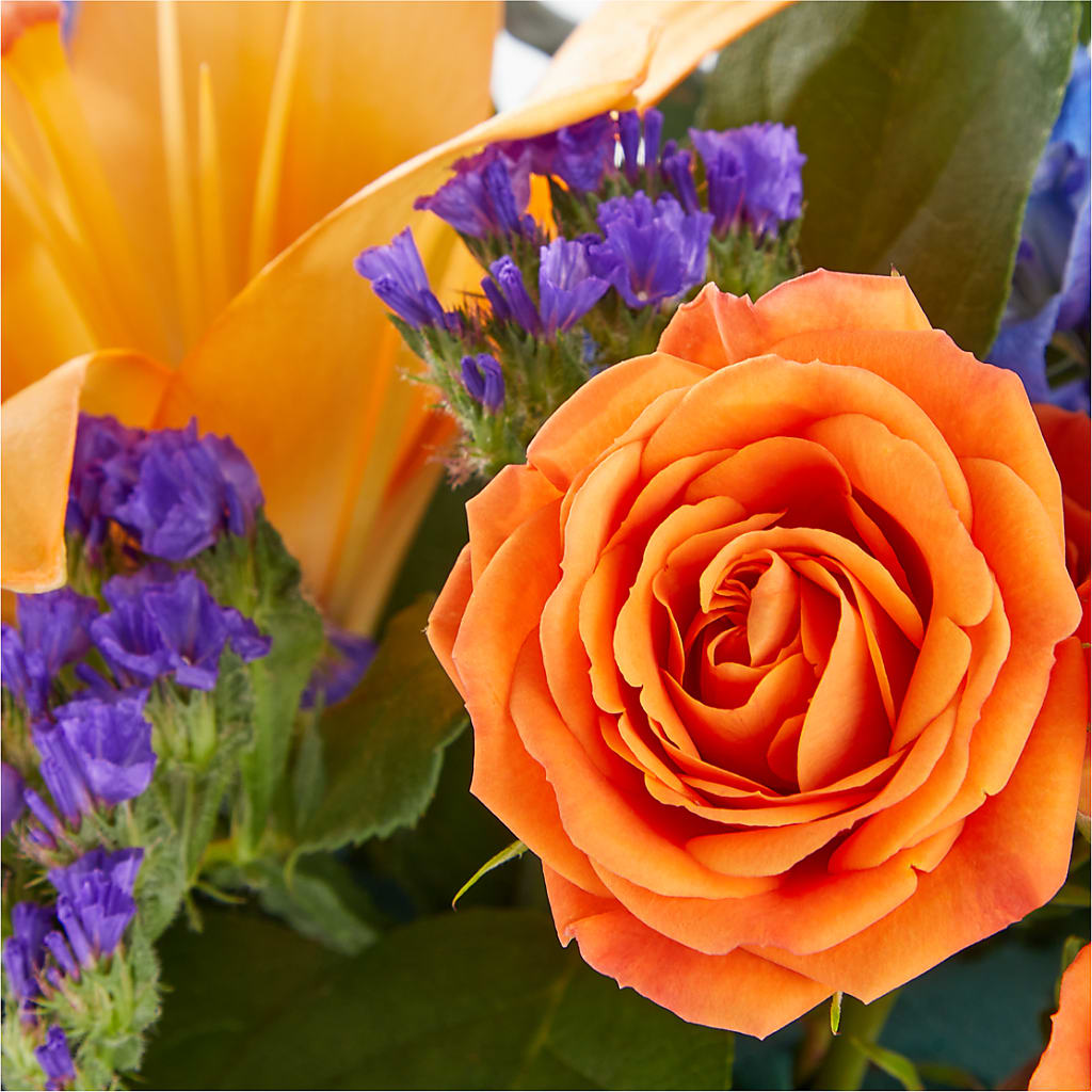 Radiant Citrus Box Bouquet –  Rose Girls, Whittier CA