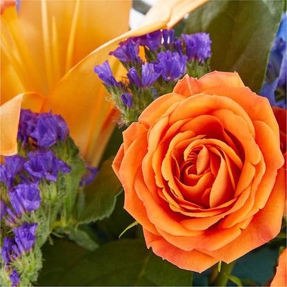 Radiant Citrus Box Bouquet –  Rose Girls, Whittier CA