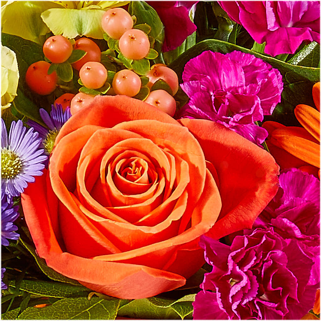 Tricks & Treats Pumpkin –  Rose Girls, Whittier CA