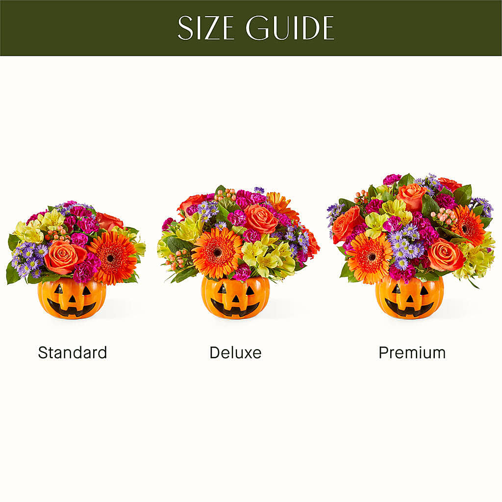 Tricks & Treats Pumpkin –  Rose Girls, Whittier CA