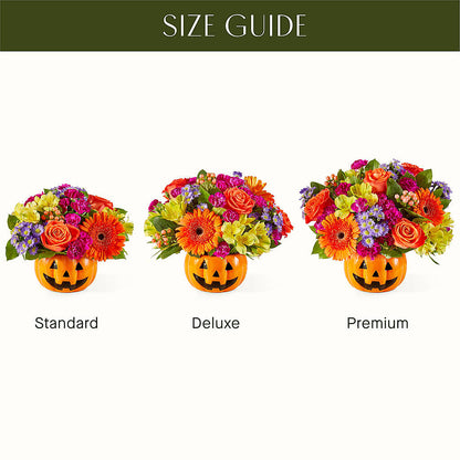 Tricks & Treats Pumpkin –  Rose Girls, Whittier CA