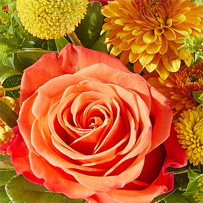 Gourdgeous Pumpkin –  Rose Girls, Whittier CA