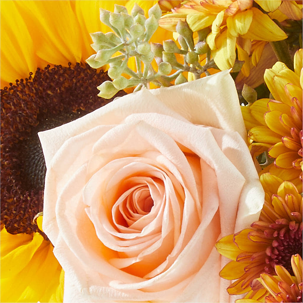 Pumpkin to Talk About Bouquet –  Rose Girls, Whittier CA