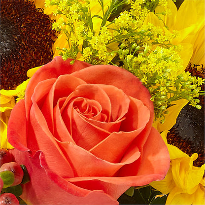 Pick of the Patch Pumpkin Bouquet –  Rose Girls, Whittier CA