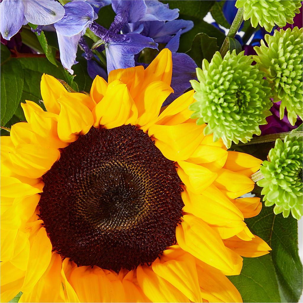 Catching Rays Bouquet –  Rose Girls, Whittier CA