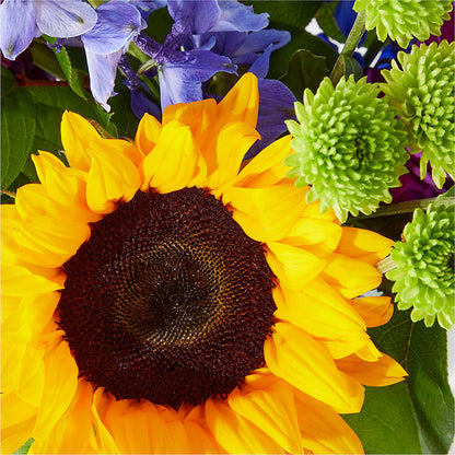 Catching Rays Bouquet –  Rose Girls, Whittier CA