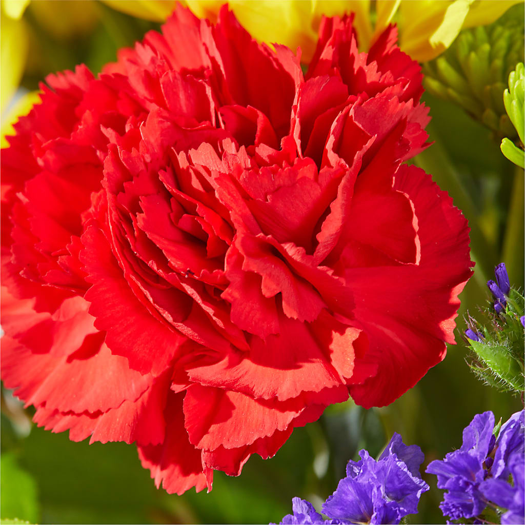 Brighter Days Bouquet –  Rose Girls, Whittier CA