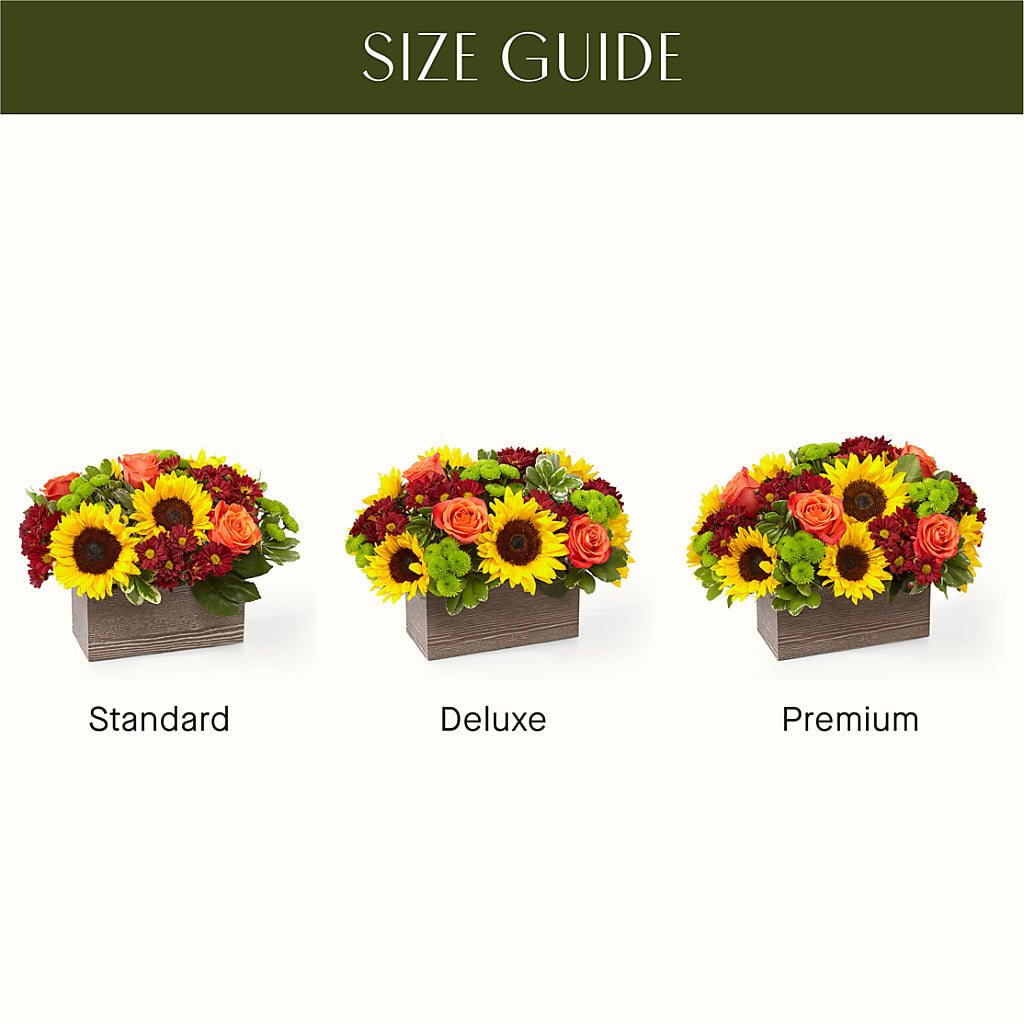 Happy Harvest Garden –  Rose Girls, Whittier CA