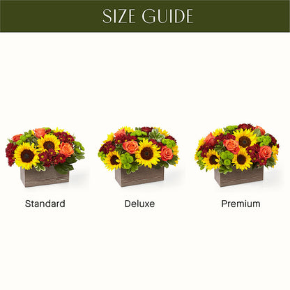 Happy Harvest Garden –  Rose Girls, Whittier CA