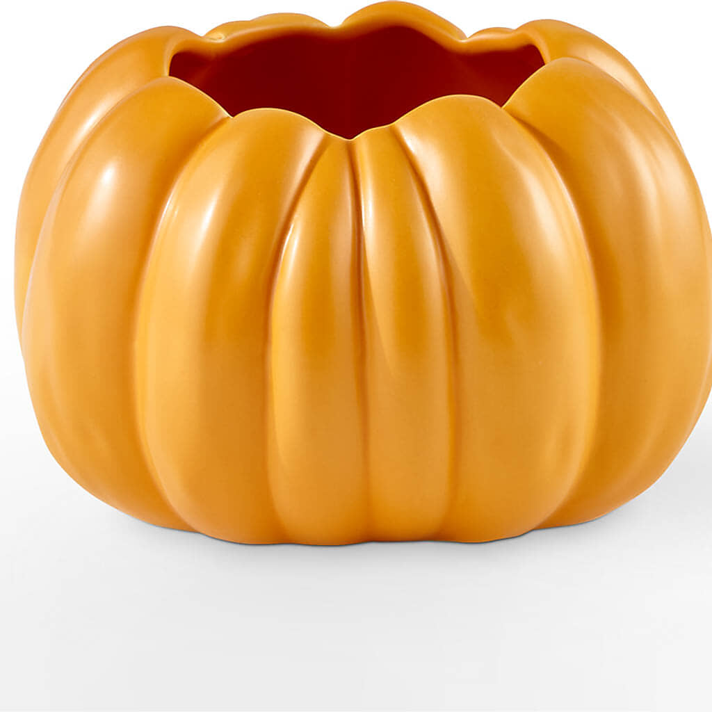 Pick of the Patch Pumpkin Bouquet –  Rose Girls, Whittier CA