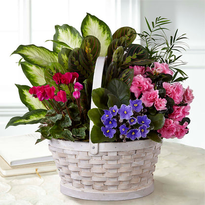 Peaceful Garden Planter –  Rose Girls, Whittier CA