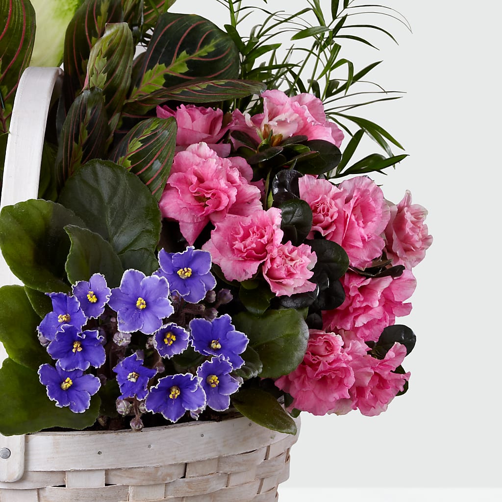 Peaceful Garden Planter –  Rose Girls, Whittier CA