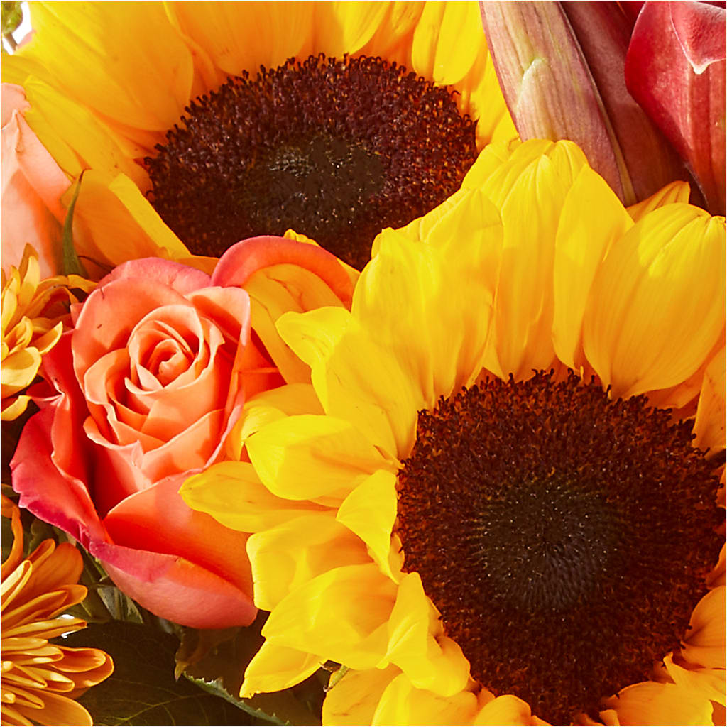 Acorn Lane Bouquet –  Rose Girls, Whittier CA