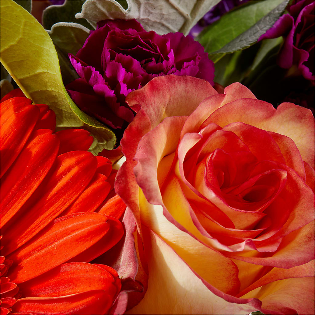 Sangria Bouquet –  Rose Girls, Whittier CA