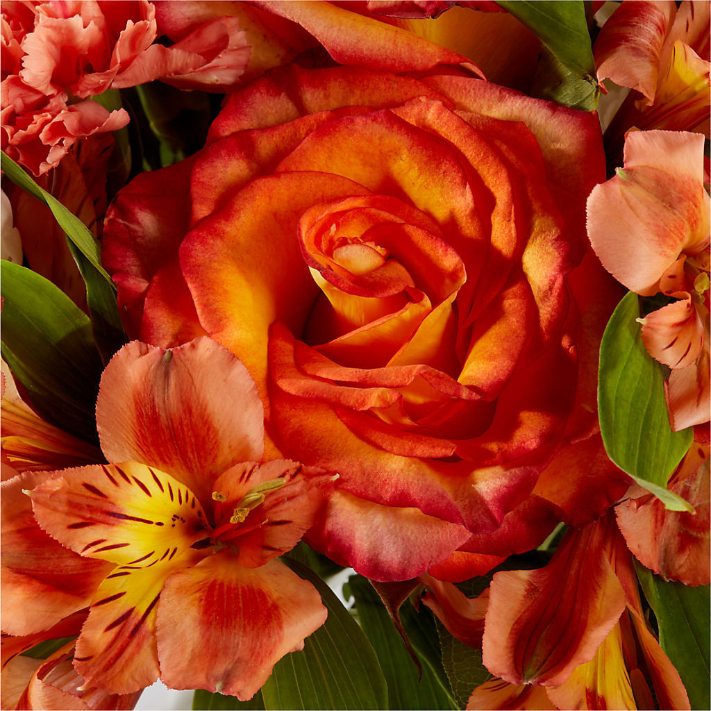 Apricot Glow Bouquet –  Rose Girls, Whittier CA