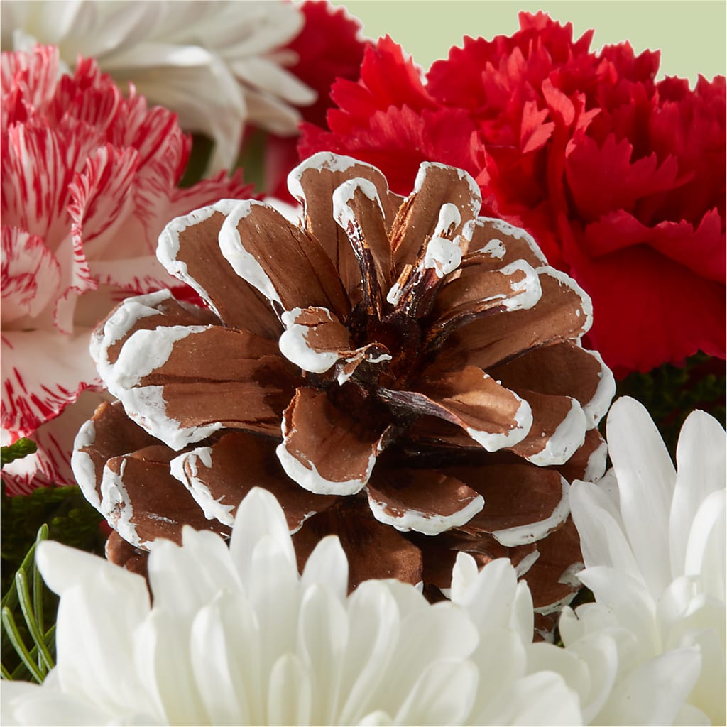 Candy Cane Lane Bouquet –  Rose Girls, Whittier CA