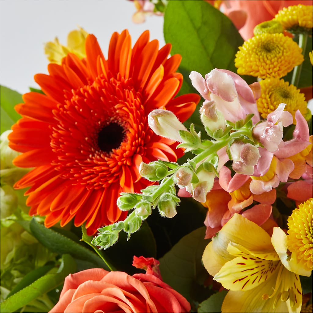 Autumn Sunshine Bouquet –  Rose Girls, Whittier CA