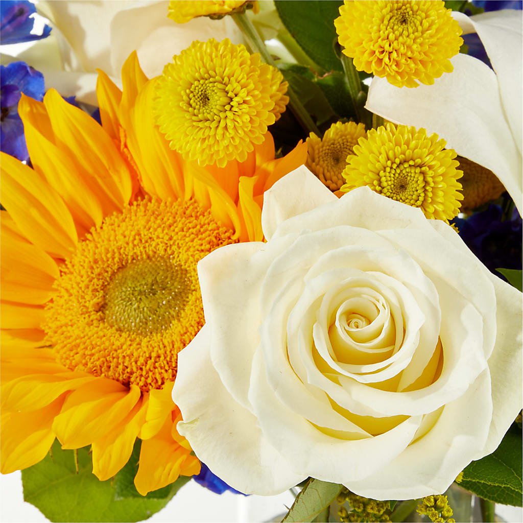 Stargazing Bouquet –  Rose Girls, Whittier CA