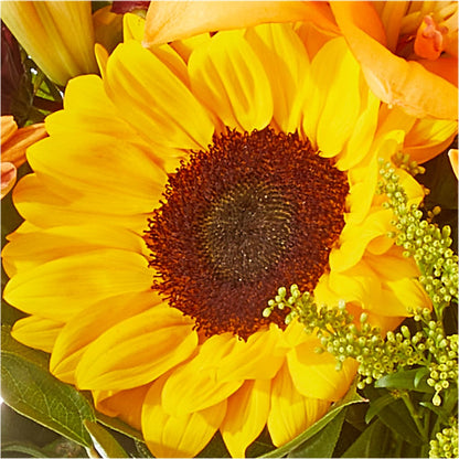 Seasons Change Bouquet –  Rose Girls, Whittier CA