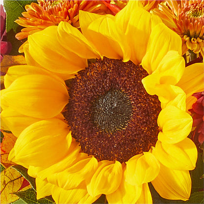 Sunny Side Bouquet –  Rose Girls, Whittier CA