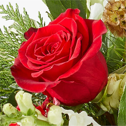 Deck the Halls Bouquet –  Rose Girls, Whittier CA