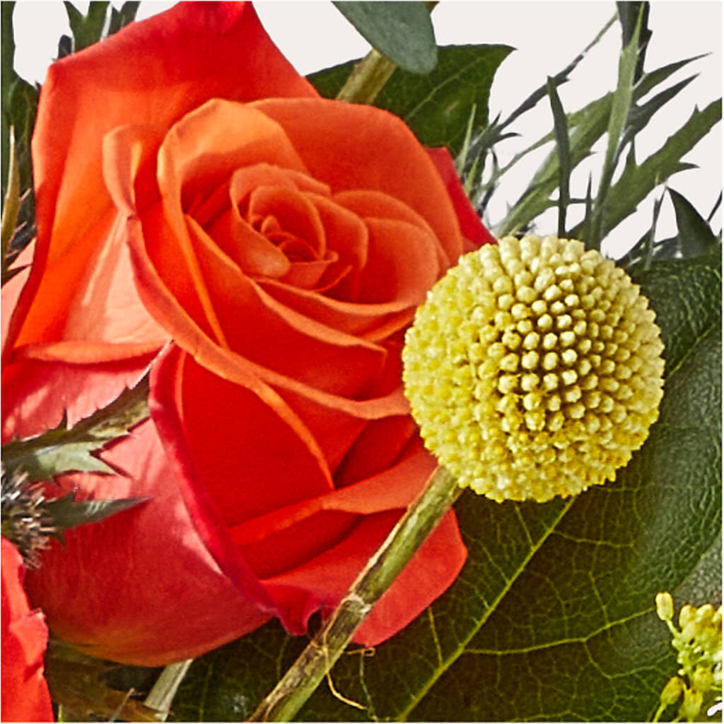 Disco Bouquet –  Rose Girls, Whittier CA