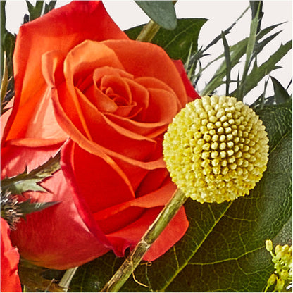 Disco Bouquet –  Rose Girls, Whittier CA