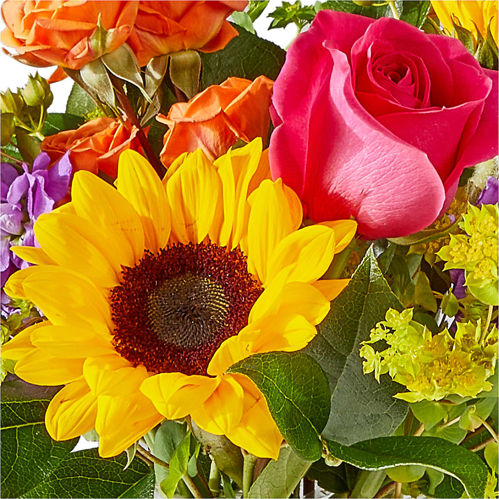 Vibrant Greetings Bouquet –  Rose Girls, Whittier CA