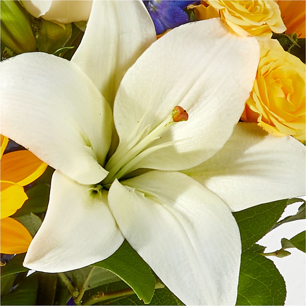 Wonderfully Sunny Bouquet –  Rose Girls, Whittier CA