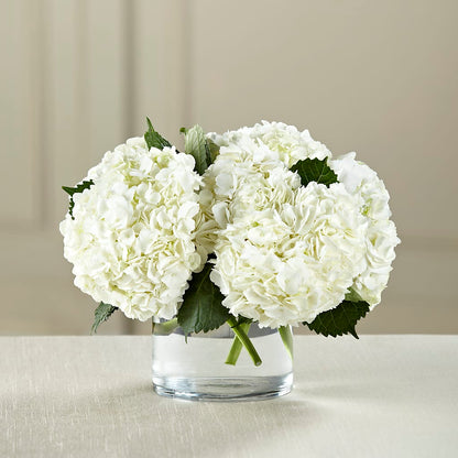 White Hydrangea Bouquet –  Rose Girls, Whittier CA